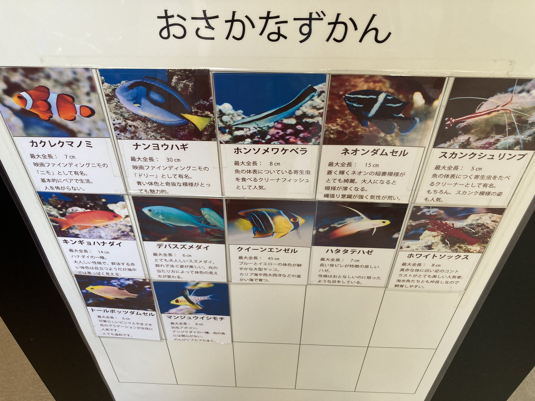 ハンドインハンド Twitter Search Twitter