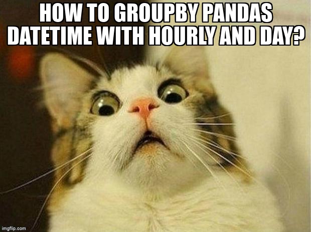 overflow_meme's tweet image. How to groupby pandas datetime with hourly and day? stackoverflow.com/questions/6894… #pandasgroupby #pandas #dataframe #python