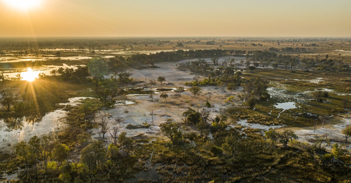 Through #OkavangoEternal we aim to help provide wildlife corridor protection and support communities in the Okavango Basin. 
Learn about our partnership with <a href="/NatGeo/">National Geographic</a> : bit.ly/3ktaBTm

📷: Chris Boyes

#debeers #BuildingForever <a href="/InsideNatGeo/">National Geographic Society</a>