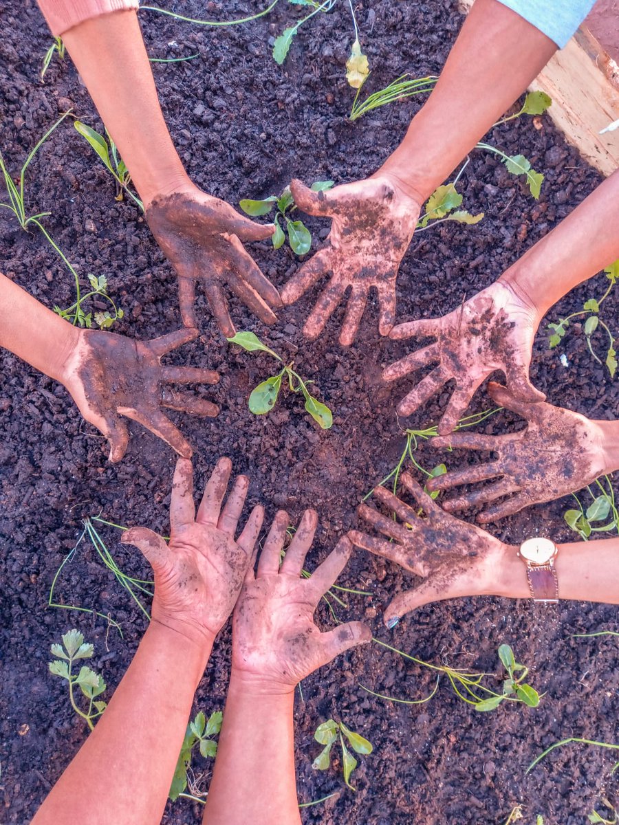 _IJR_'s tweet photo. Yesterday was the launch of household gardens in Calitzdorp. Onwards to food security and food sovereignty.
#FoodSovereignty
#FoodSecurity
#SocioEconomicJustice
#LandRestoration
#LandDignity
#LandJustice
#HouseholdGardens
#CalitzdorpisMoving https://t.co/x3XYK6HyhW