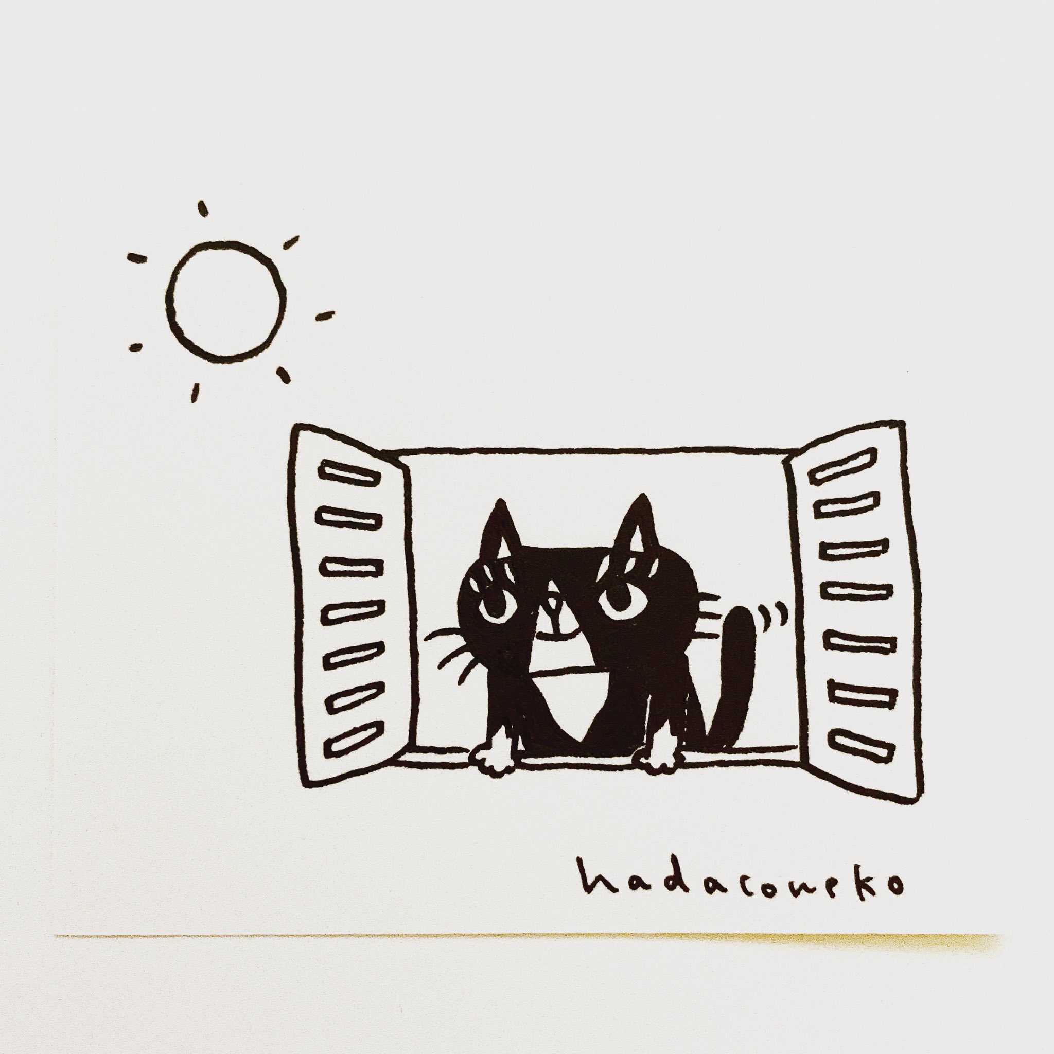 肌子 今日のイラストはコレ ｪ 窓から乗り出して日差しを浴びてる猫 イラスト 猫 ネコ ねこ オリジナル ペン画 アナログ画 絵 猫の絵 白黒猫 はちわれ ハチワレ T Co Kwupu6jrjp Twitter
