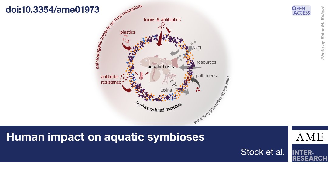 An overview of how human activities are altering interactions between #aquatic hosts and their associated #microbes; implications for the host’s health and the aquatic ecosystems can be profound. #AME #OA ➡️ doi.org/10.3354/ame019…