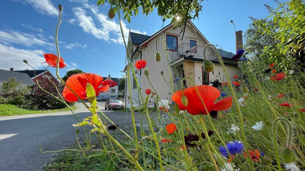 Henningsvær, Lofoten, Norway