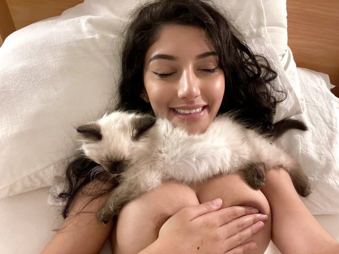 this is where my cat sleeps https://t.co/5iImTWEwI7