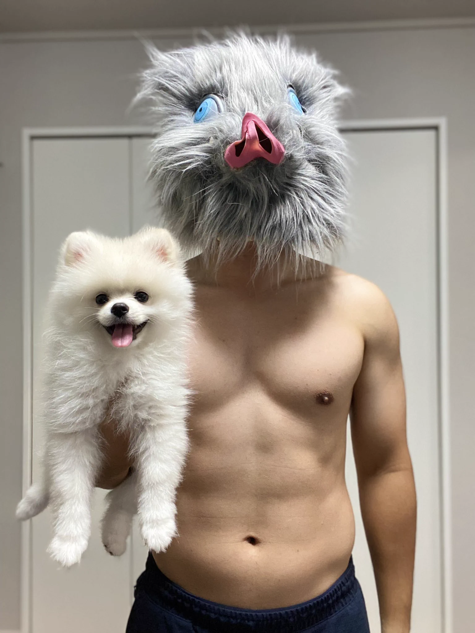 ダイエットにしっかり効果あり？腹筋ローラーを約半年間行った結果！
