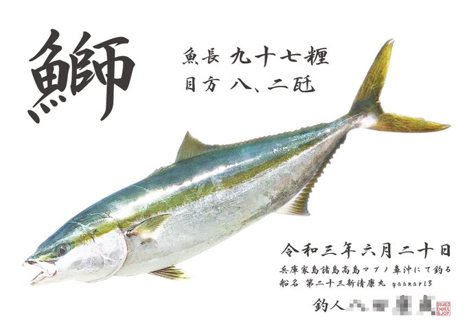 文庫 魚拓本 カラーになって魚拓も本望 さっそく腕まくりして あなただけのカラー魚拓に挑戦してみよう 定番キャンバス