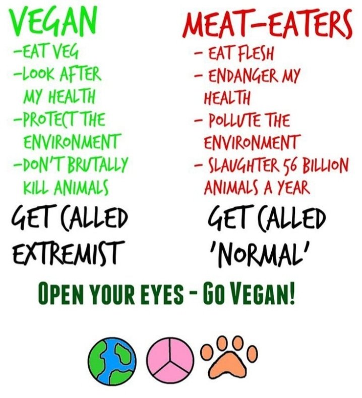 This ⬇️ #GoVegan 💚🌱✌