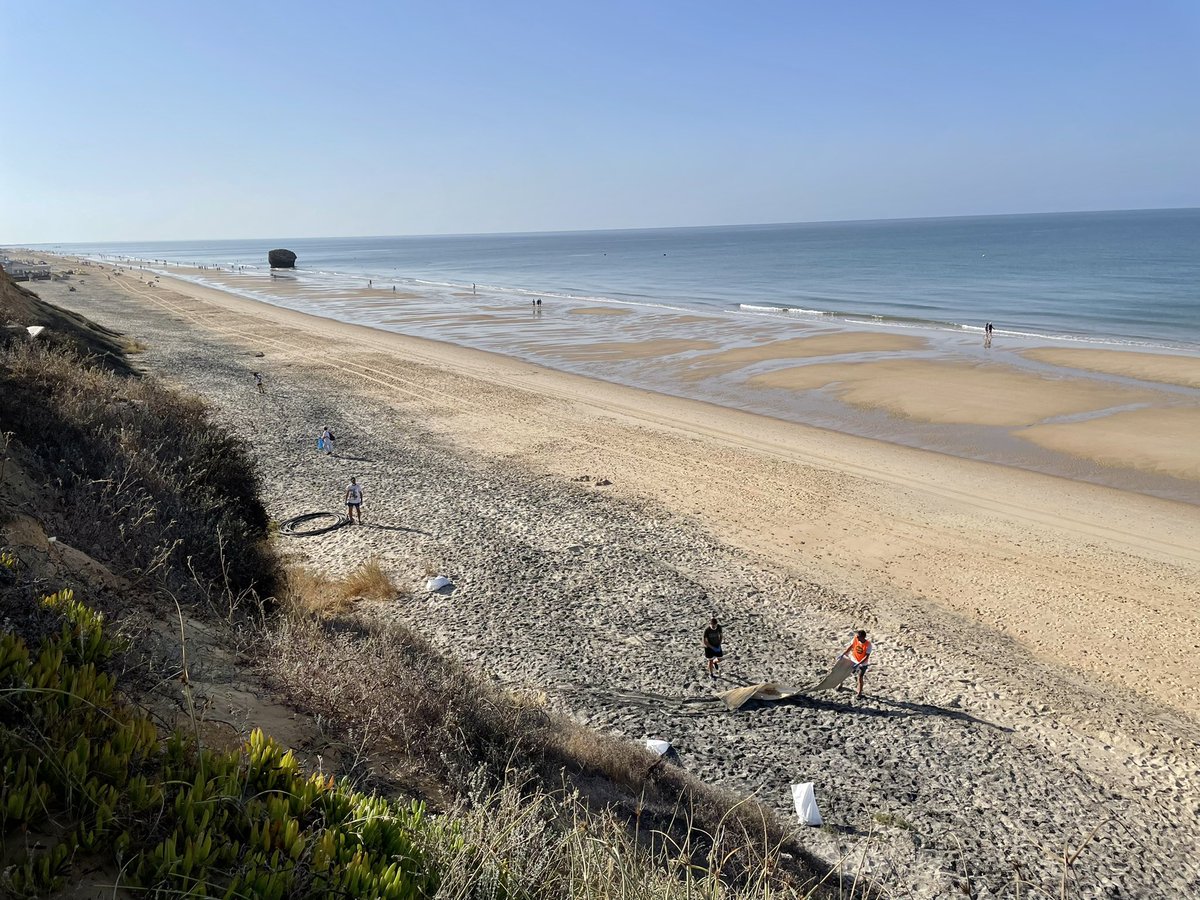 Fridays For Future Huelva tweet media