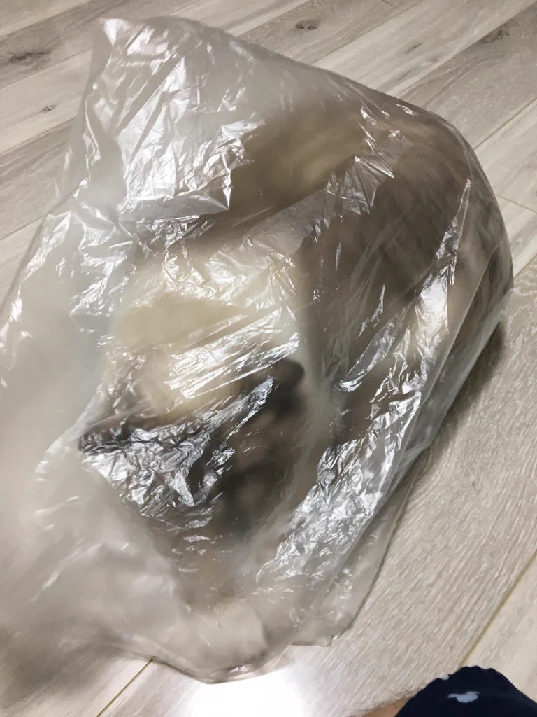 @cyane_photo 外から失礼します。
どうやら同族のようですね。 