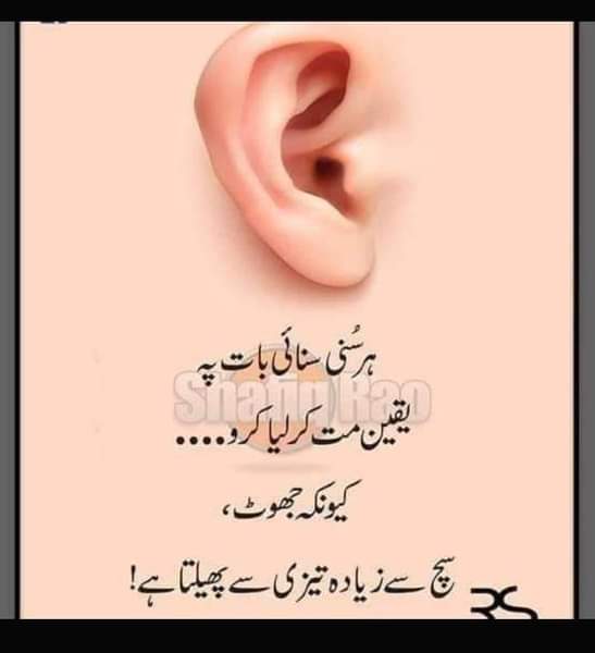 Zaib Baloch (@aminzaib2) on Twitter photo 