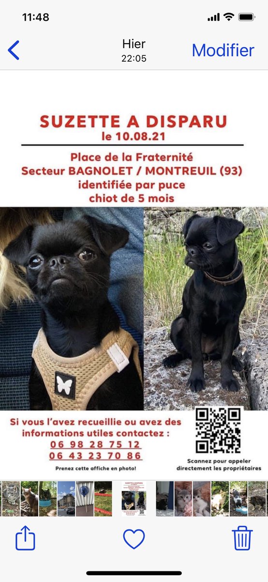 Respect des animaux Ⓥ (@digniteanimale) / Twitter