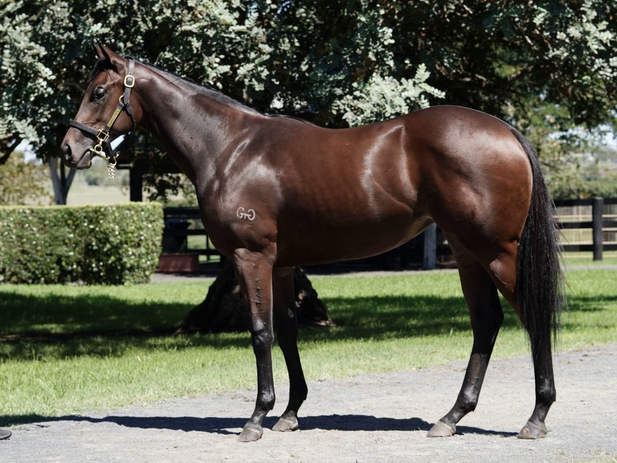 John Moore Racing Stable (@johnmooreracing) | Twitter