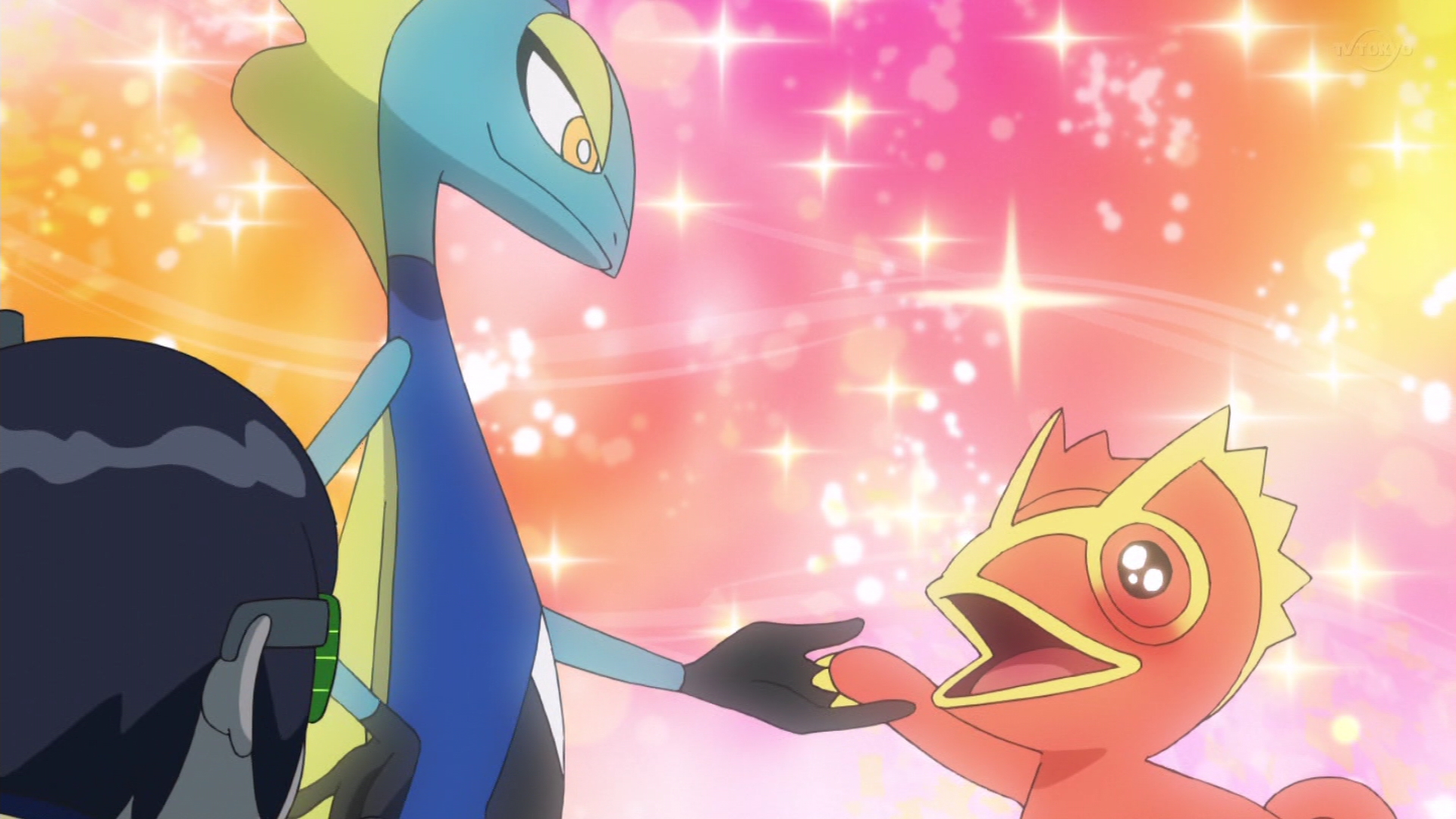 Denise Rt Theendlesszero 色違いカクレオン アニポケ Pokemon Pokemon78 T Co W9iepphgsl Twitter