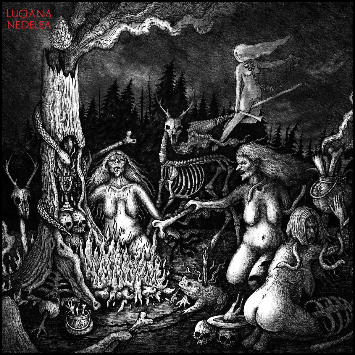 Luciana_Nedelea's tweet photo. Witches' Sabbat (commissioned piece). Ink and pencil on paper. #artwork #ArtistOnTwitter #horror #HorrorArt #witches #witchessabbat #drawing #illustrationart #illustrationartists #macabre #witchcraft https://t.co/LXe5oGO4yl