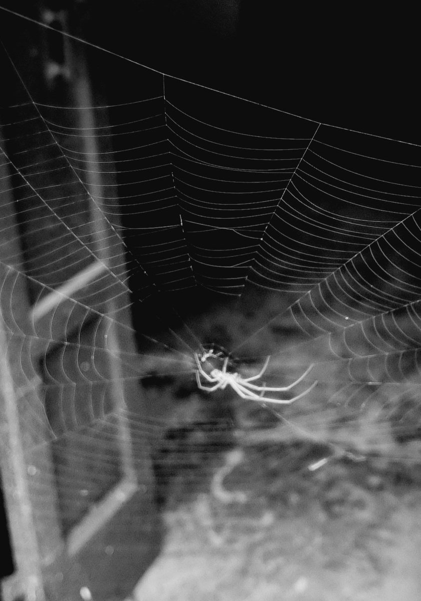 GayathriSrinath's tweet image. Web Designer? (6)

@somsram #QuarantineTimepass