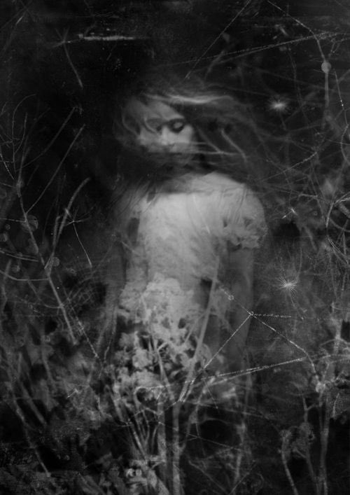 dajc_thoughts's tweet photo. woven dreams—
after dusk, tangled lies
©️Darlene Carroll
Photo by:
Lucy Reynolds - Dream Like Mirror
#sixwords #playingwithwords #womanandflowers #flowers #poeticplayground #images #blackandwhitephotography
#whiteblooms #inkednotes #tangledlies #web #dreams https://t.co/6vX5nbE2dh