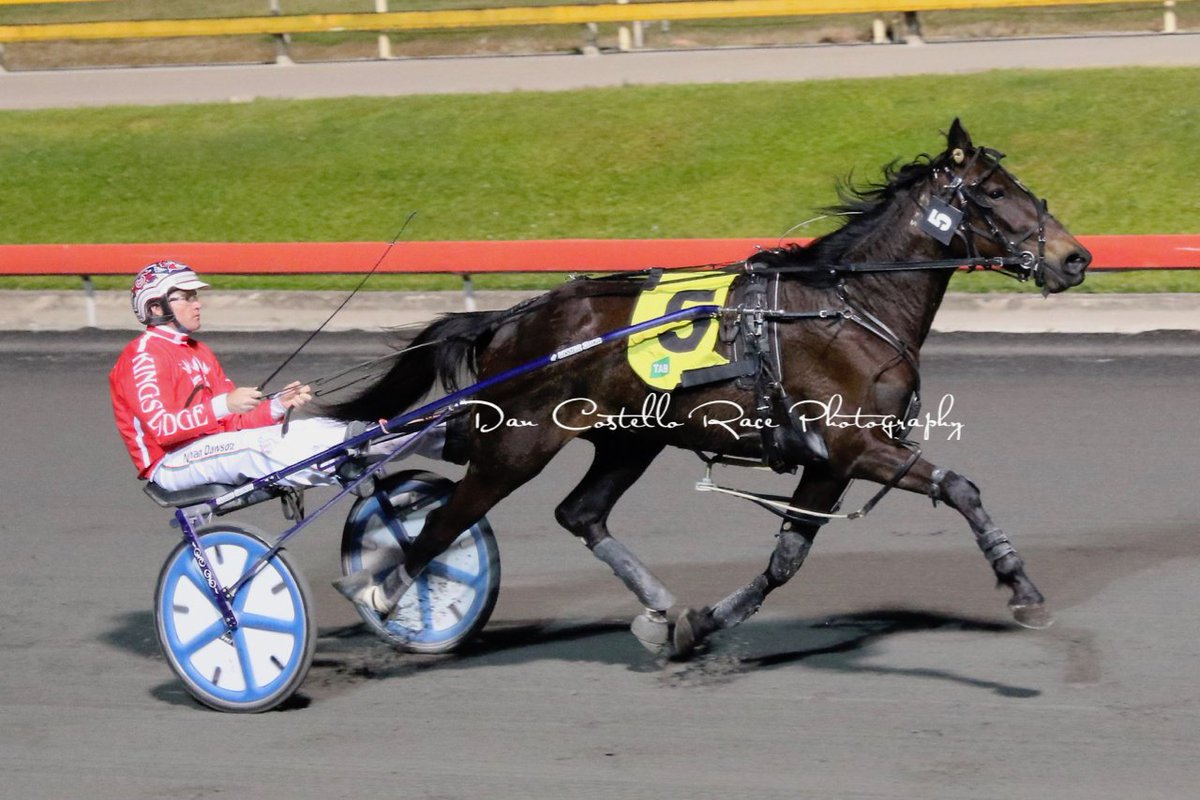 Now it's a double for Nathan Dawson as 1st starter Paris Kay makes an impressive debut winning Heat 3 of the 2yo Trotters Springboard series <a href="/TheCreekAlbion/">The Creek</a> for trainer <a href="/DwyerGraham/">Graham Dwyer</a>