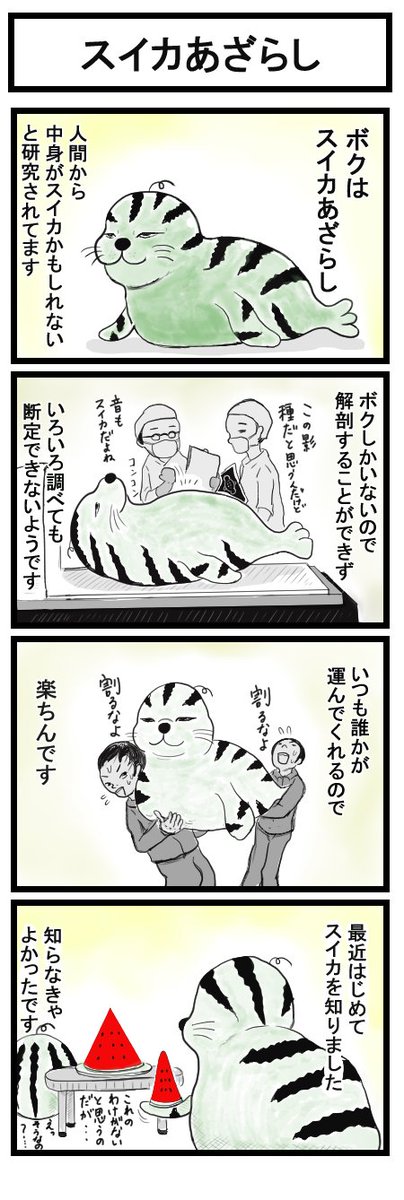 4コマ漫画「スイカあざらし」 