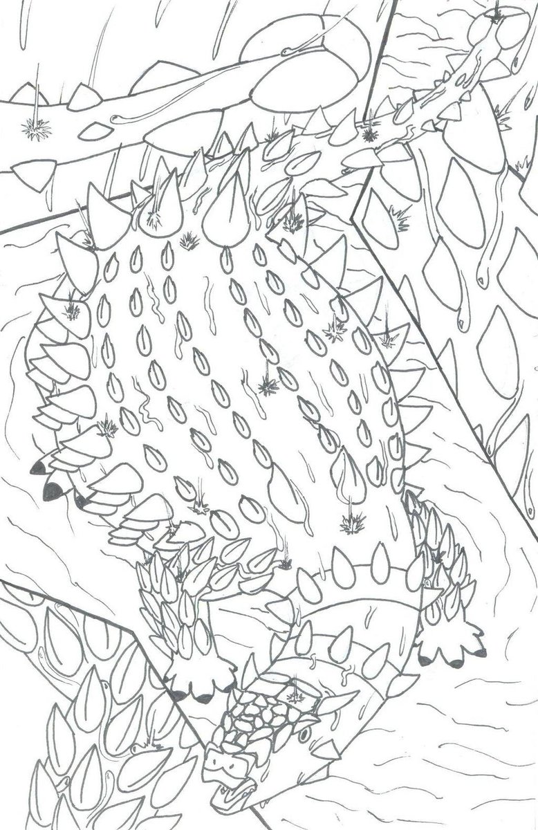 roukaryu's tweet photo. Inspired by the #thornydragon, which uses hygroscopic grooves to pull water from its surroundings through #capillaryaction. This probably can’t sustain a big #Saichania, but might help keep the edge off its thirst.
#Ankylosaurs #AnkylosaurWeek #AnkylosaurAugust #PaleoThemeWeek https://t.co/CTtfTTL4fE