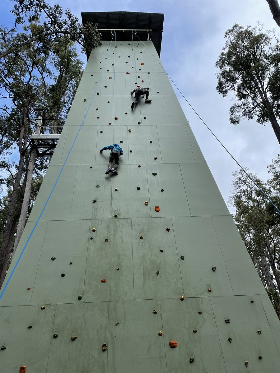 tara mccarthy tweet media