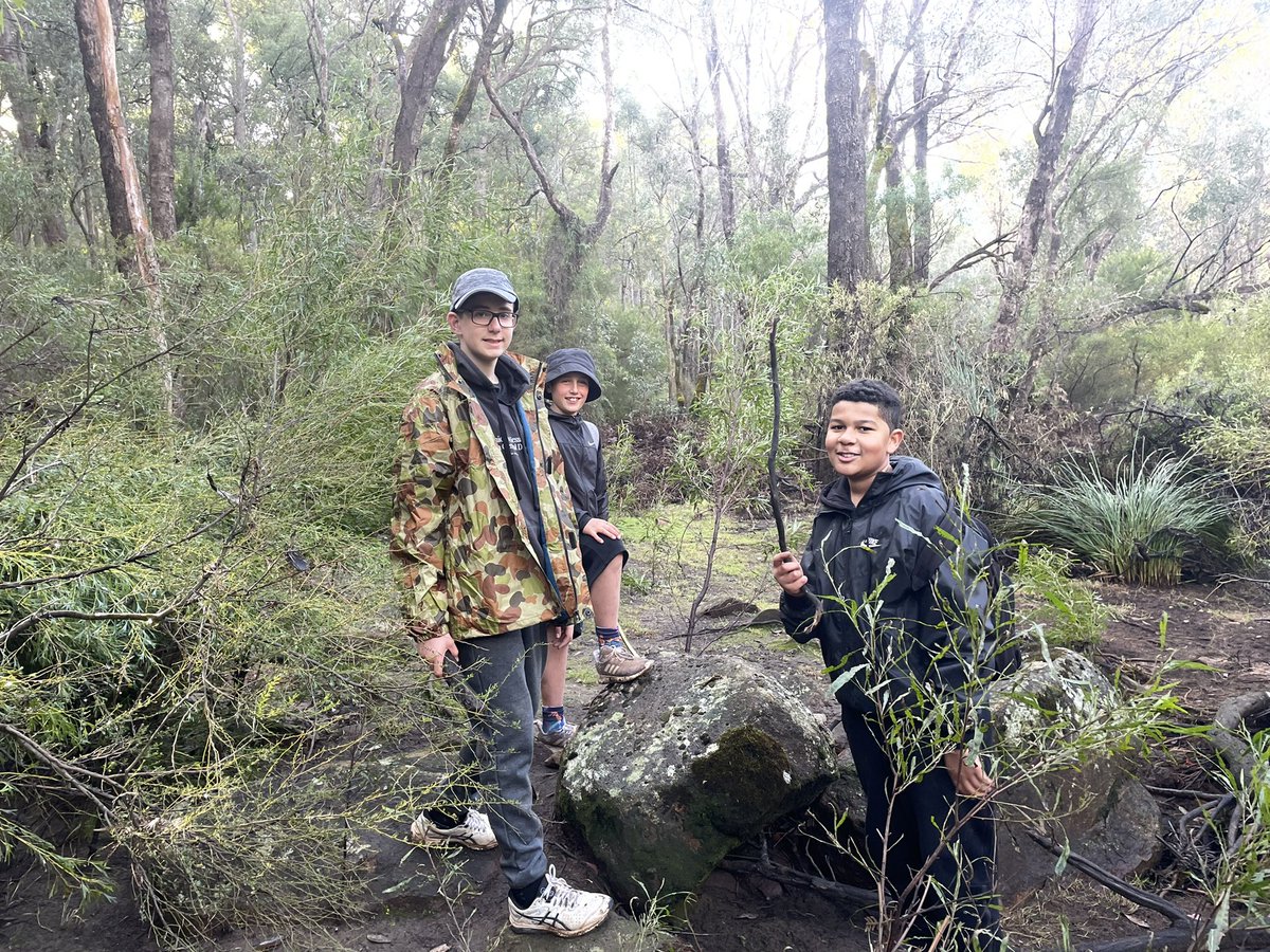 tara mccarthy tweet media