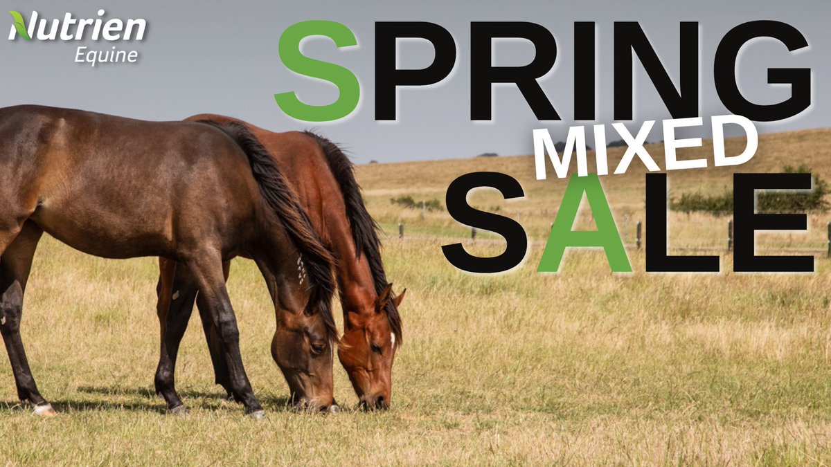 Nutrien Equine Standardbred tweet media
