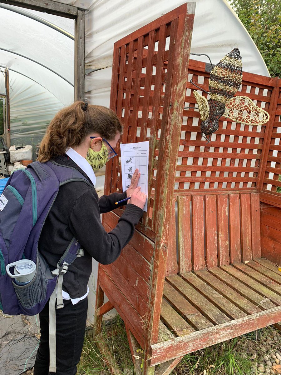 CedarbankSchool's tweet photo. The Animal Care class spent time in the garden tallying up minibeasts. @ASDANeducation @LoveWestLothian #pedagoofriday
#biodiversity #outdoorlearning #wildlife #numeracyinaction https://t.co/ehAZvxksCd