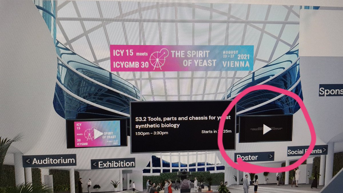 Did you watch the video on the right monitor in the lobby? 
Spend 6 min to see a lovely story about the past and future of yeast-human relationships