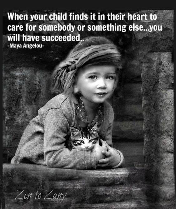 pamadkisson's tweet photo. SO proud of ALL my children.. and their children! 👏🌅❤️🔥✨. #DoingLifeRight. #Legacy #GoodandBeautiful https://t.co/hCwWnt3TJc