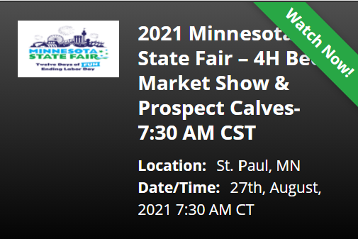 MN4HBeef's tweet photo. Family or friends can't make it to watch the beef show in person?  Have them watch the livestream here:  https://t.co/NvGtJ6kpod https://t.co/HpoEX6bWEC