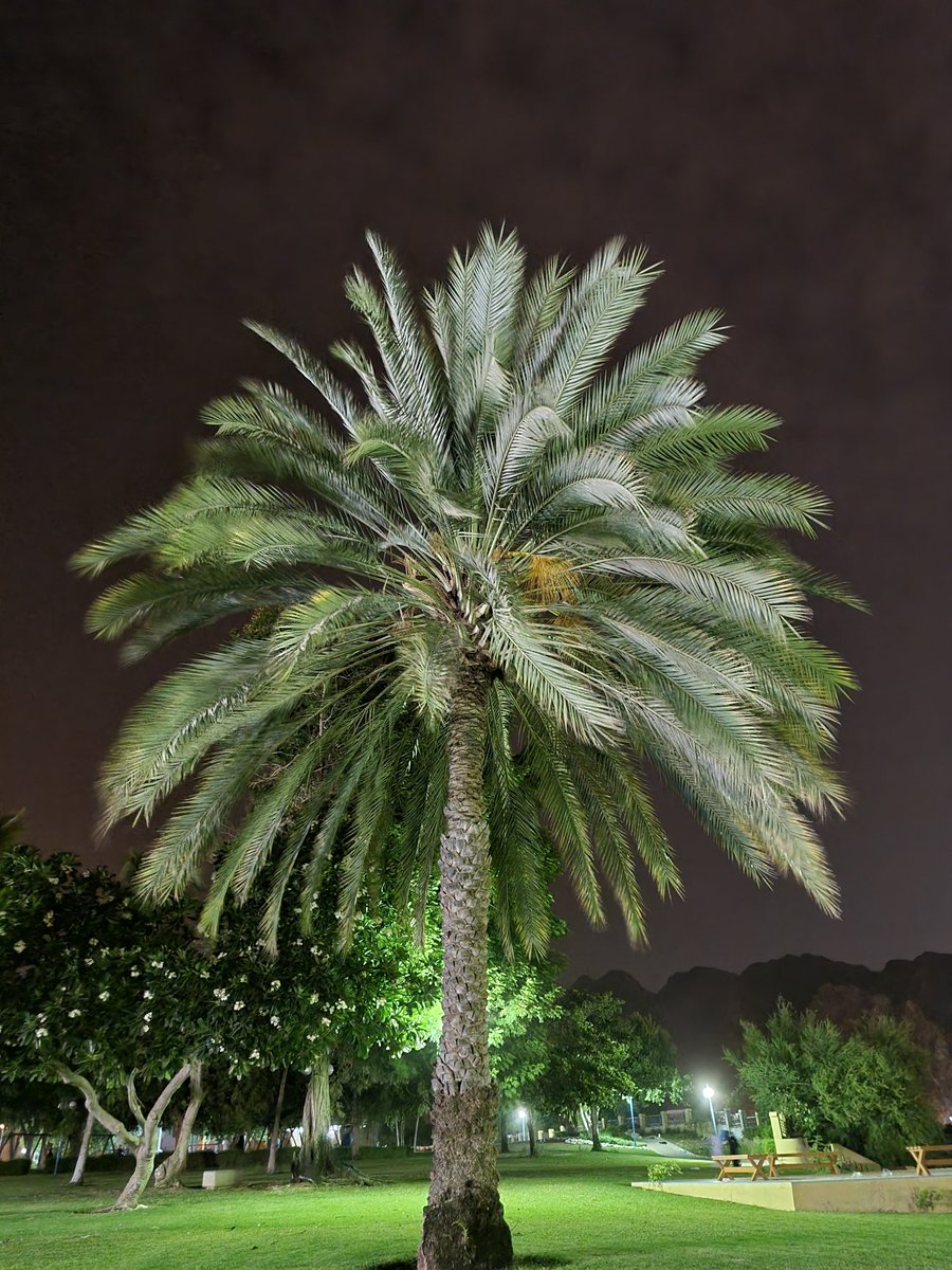 " توقف عن مراقبة الأحداث التي لا تمت لك بصله وتجاهل كل ما يجرح روحك ولا تقم بأستمرار الرسائل التي لا تثري في الفكر شيئا ودع الخلق للخالق فجمال الحياة يوجد في بصيرتك "