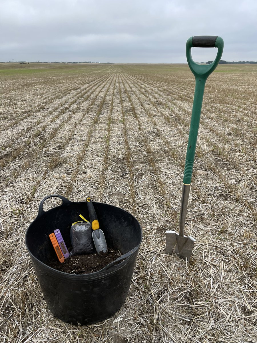 Out with <a href="/JKroeger18/">Jill Kroeger</a> for <a href="/Western_Ag/">Western Ag</a> soil sampling in NW SK for balanced 2022 fertilizer planning.  #prsprobes #cropcaster <a href="/westernagNWSK/">WesternAg North West Sask.</a>