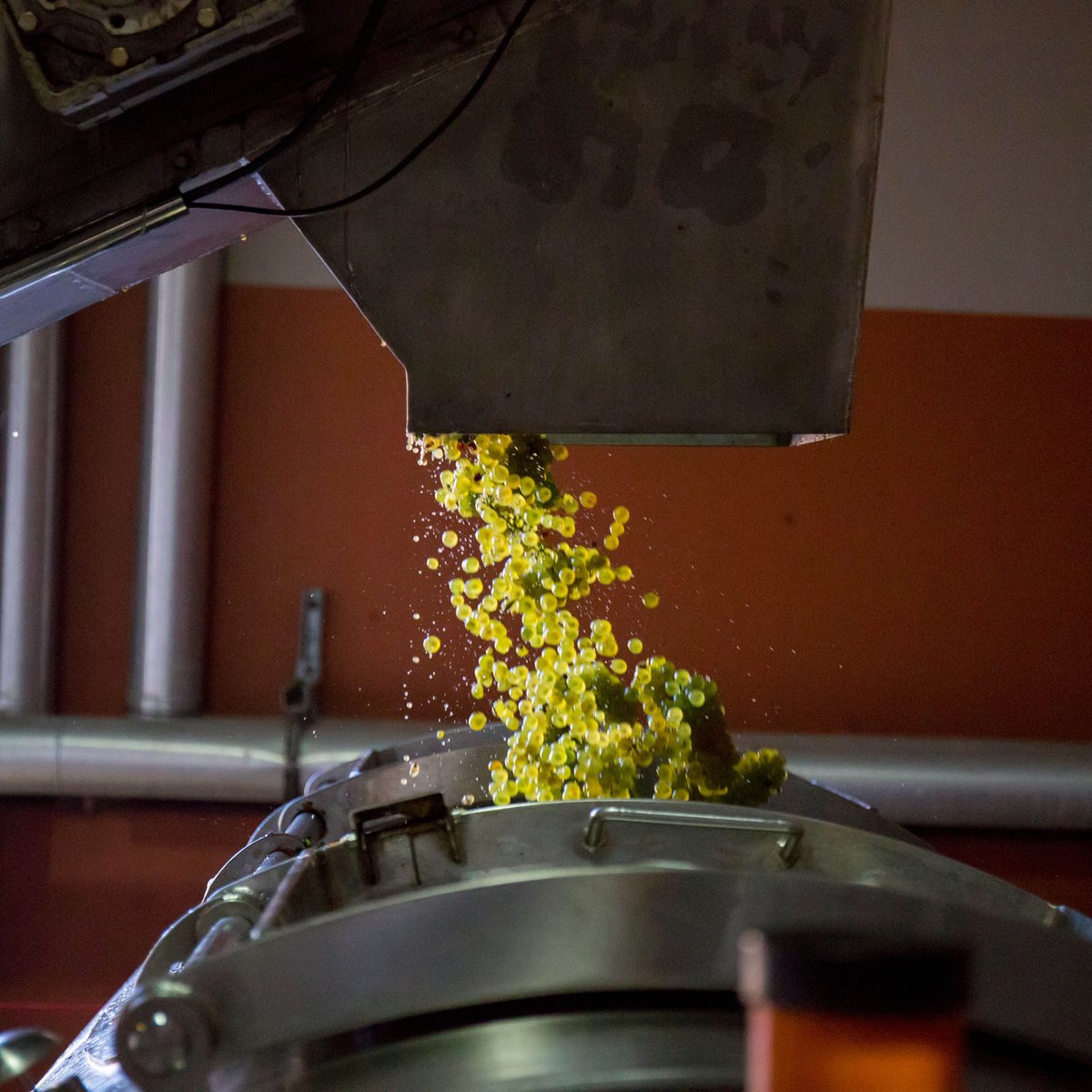 JourneysEndWine's tweet photo. From harvest early this year - grapes going into the destemming machine. Stems can result in unwanted characters and flavours in the wine. #winemakingprocess https://t.co/pVctm9bpCt