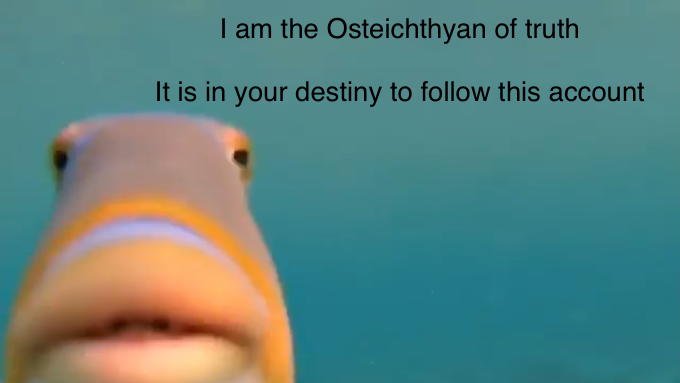 UofCzoolology's tweet photo. Welcome to Zoolology! This is an archive of memes made by upper-year Zoology students @UCalgary. Follow us to join us in our memeification of Animalia! https://t.co/k5tQZIxPyt