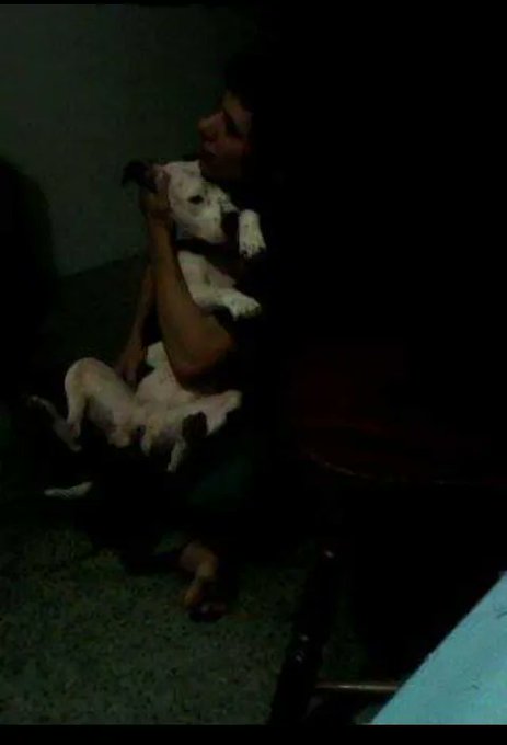 1 pic. I used to do dog work. Either helping personal frens take care of pooches or with an organization