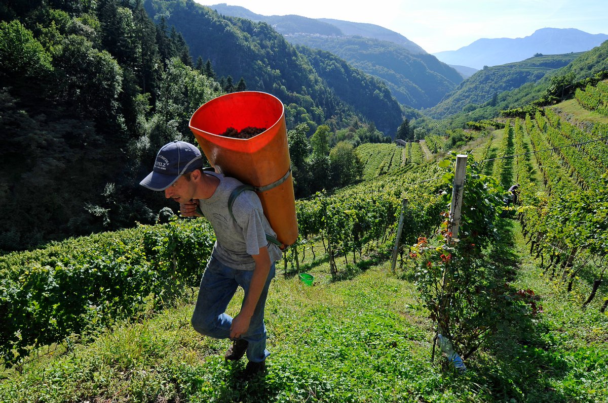 🍇🍏🏞️Indennità per i lavoratori stagionali: prorogato al 15 ottobre il termine per la presentazione delle domande. Info qui⤵️
bit.ly/38iYHG3