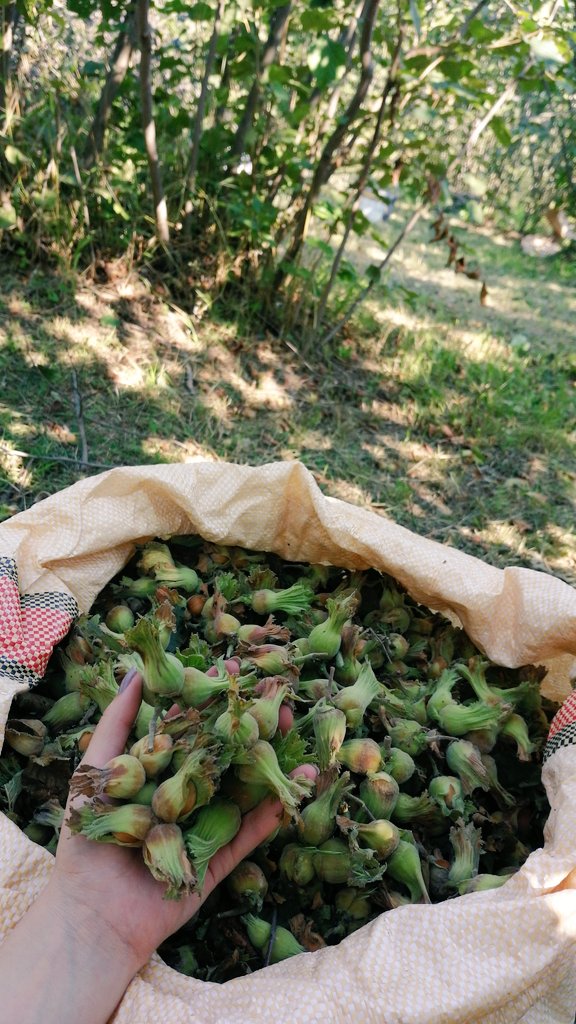 Tatilimin son günlerinde ne mi yapıyorumm💁🏼‍♀️