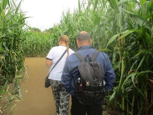SMurphyMakes72's tweet photo. Loved our visit to York Maze https://t.co/t7RMmAzGaD