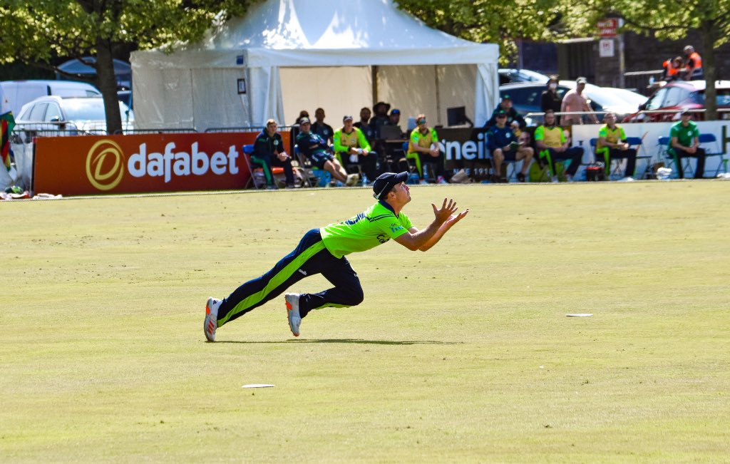 HBV Live tweet media