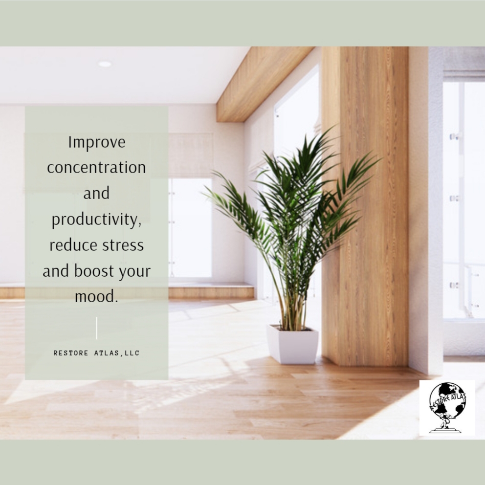 restore_atlas's tweet image. Did you know that indoor plants make you feel better?
#restoreatlas #freequotes #austincontractor