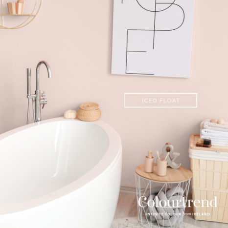 MurtaghDrogheda's tweet photo. Say hello to Mussel, Oyster Bed, Batch Loaf and Iced Float- four iconic colours from the @Colourtrend1953 Contemporary Collection. 
▪️info@murtaghsdrogheda.ie
▪️https://t.co/w00KCAs2s1
☎️(041) 984 3733
#LouthChat #colourtrendpaints https://t.co/JVUdYm65s8