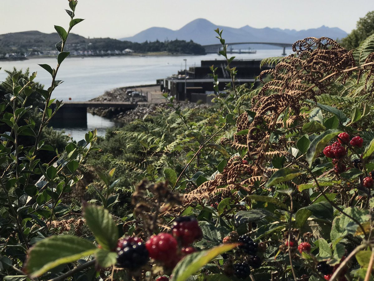 James MacInnes (@macinnesplant) on Twitter photo Bramble time, Kyle of Lochalsh, Scotland ๐ด๓ ง๓ ข๓ ณ๓ ฃ๓ ด๓ ฟ <a href="/angie_weather/">angie phillips</a> <a href="/StormHour/">#StormHour</a> <a href="/VisitScotland/">VisitScotland</a> <a href="/ThePhotoHour/">#ThePhotoHour</a> Bramble time, Kyle of Lochalsh, Scotland ๐ด๓ ง๓ ข๓ ณ๓ ฃ๓ ด๓ ฟ <a href="/angie_weather/">angie phillips</a> <a href="/StormHour/">#StormHour</a> <a href="/VisitScotland/">VisitScotland</a> <a href="/ThePhotoHour/">#ThePhotoHour</a>