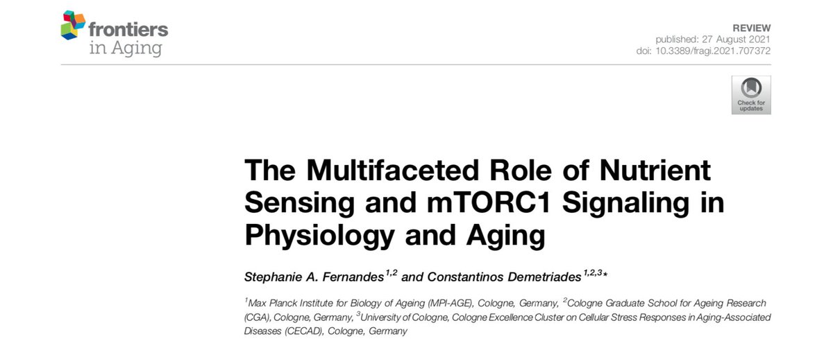 Demetriades Lab (@demetriadeslab) on Twitter photo 📢 Happy to share our review paper on the regulation of mTORC1 by nutrients and the role of nutrient sensing pathways in ageing and physiology, online today in <a href="/FrontAging/">Frontiers - Aging</a>.
Amazing effort by <a href="/stephalcantara/">Stephanie A. Fernandes</a>! 🏅
Thanks to <a href="/LammingLab/">Lamming Lab</a> for the invitation.
👇
bit.ly/3gF0VE9 📢 Happy to share our review paper on the regulation of mTORC1 by nutrients and the role of nutrient sensing pathways in ageing and physiology, online today in <a href="/FrontAging/">Frontiers - Aging</a>.
Amazing effort by <a href="/stephalcantara/">Stephanie A. Fernandes</a>! 🏅
Thanks to <a href="/LammingLab/">Lamming Lab</a> for the invitation.
👇
bit.ly/3gF0VE9