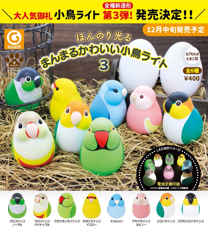 まんまるかわいい小鳥ライト3 が2月発売 マメルリハやアキクサ シロハラインコも登場 インコ生活 飼い方 育て方の総合情報サイト