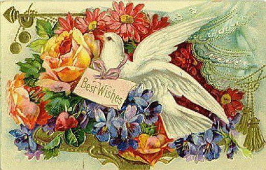 Carla Chadwick tweet media