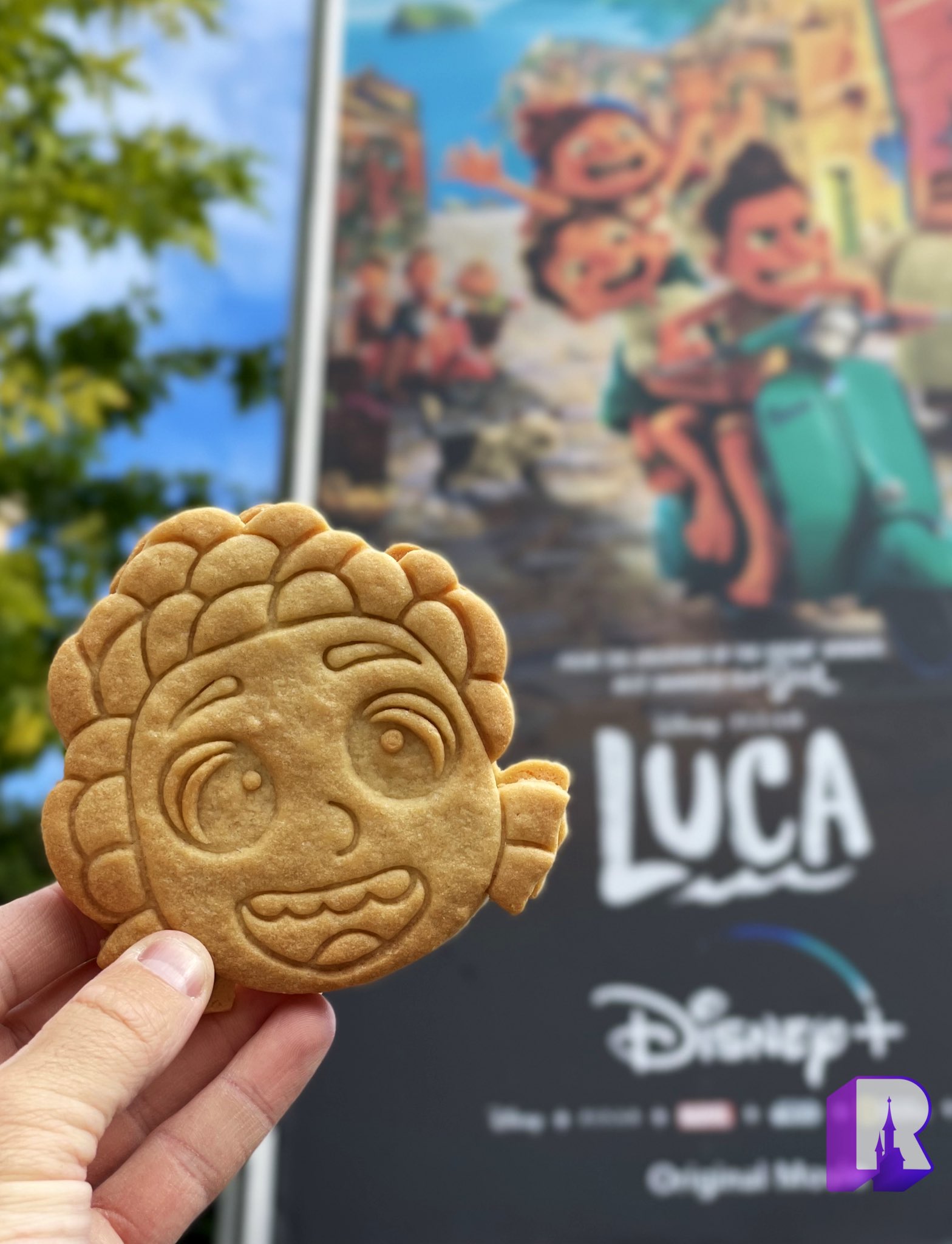 DLP Report on X: New “Luca” Nutella shortbread cookie, to kick