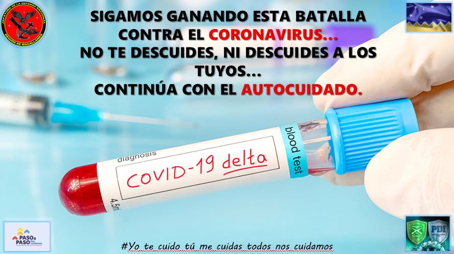 Jefatura de la Defensa Nacional Magallanes tweet media