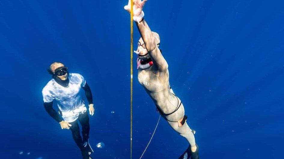 AIDA International tweet media