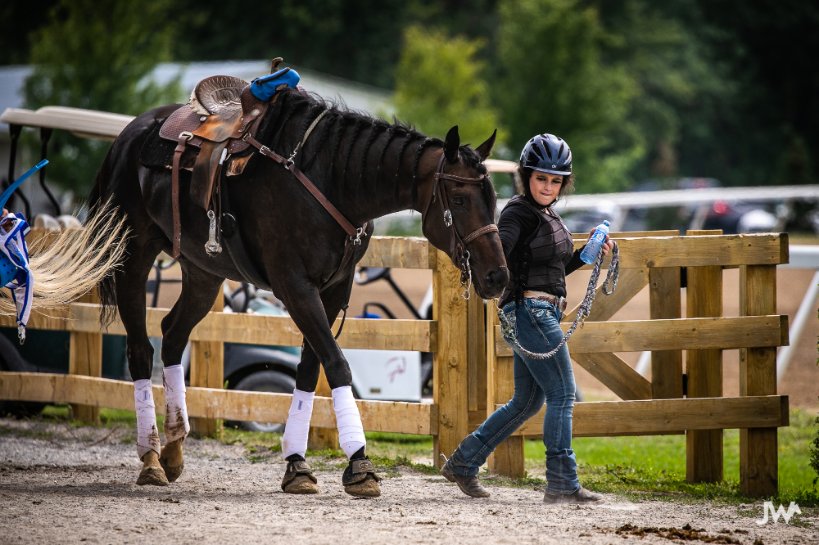 Ajax Downs Live Quarter Horse Racing Ajax Ontario