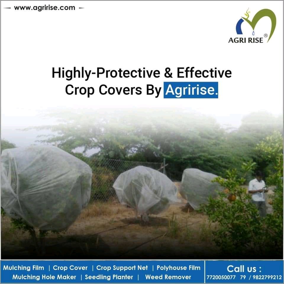 agririse's tweet photo. @AjitJisl @FALIAgriculture @icarindia @ICRISAT @IAmshaikhAgrico 

#Plasticulture #Protectivefarming #mulchingsheey #Agriririse https://t.co/vMfDZ9p5Hp